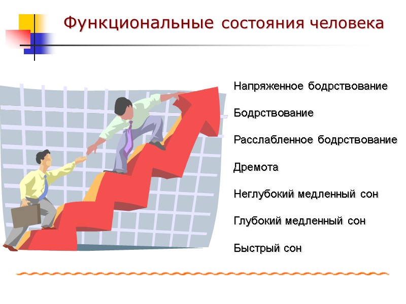 Напряженное бодрствование  Бодрствование  Расслабленное бодрствование  Дремота  Неглубокий медленный сон 